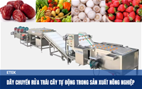 Dây Chuyền Rửa Trái Cây Tự Động Trong Ngành Sản Xuất Nông Nghiệp