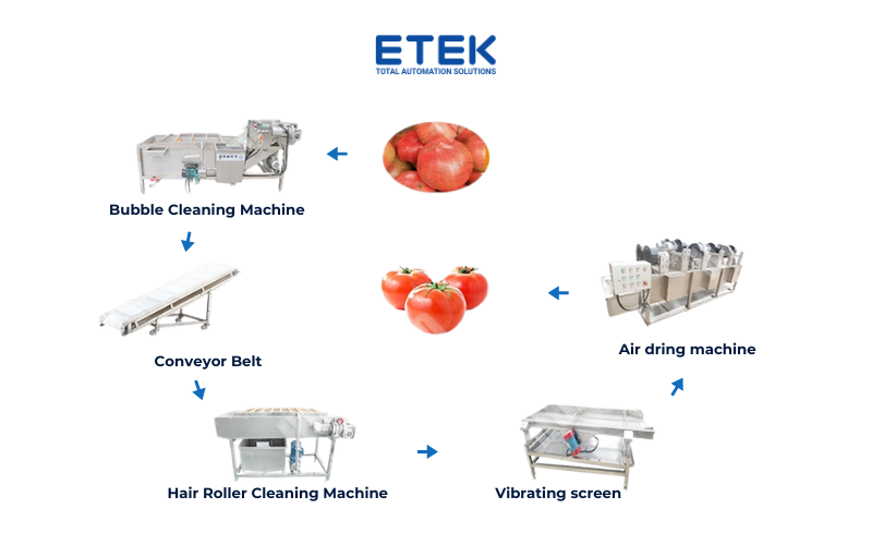 Dây chuyền rửa trái cây tự động